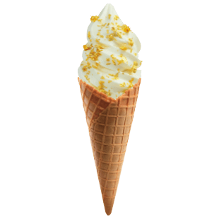 金箔入りバニラソフトクリーム